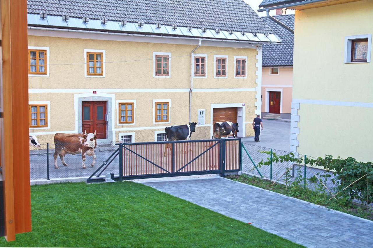 Apartment Jurijana - New 4-Bedroom Triplex With Sauna & Garden بوينج المظهر الخارجي الصورة